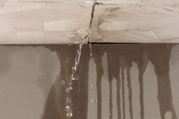 Professional Structural Drying technician working in Troy, TX